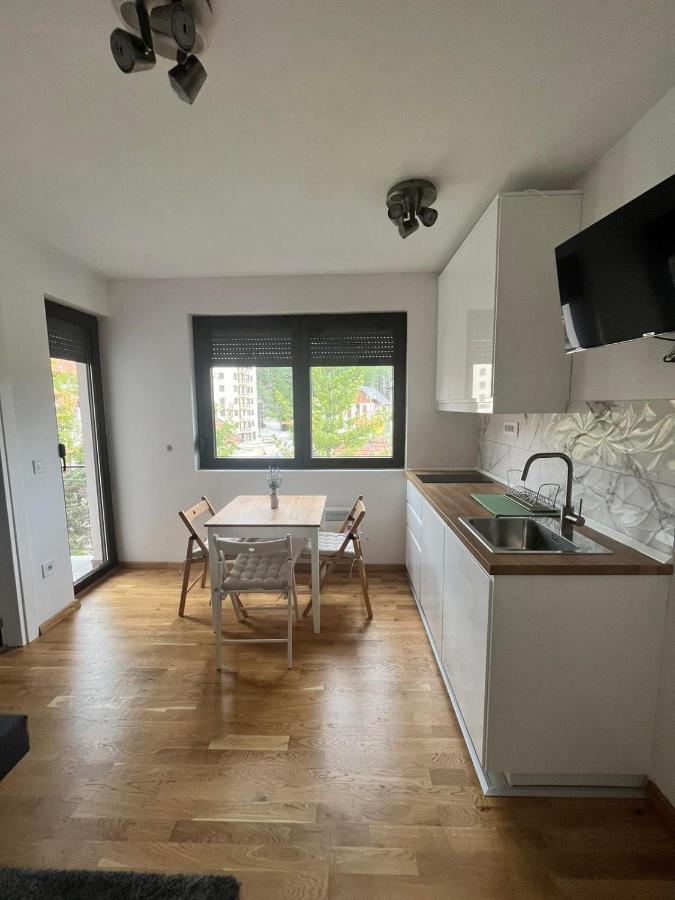 Stasa Apartment