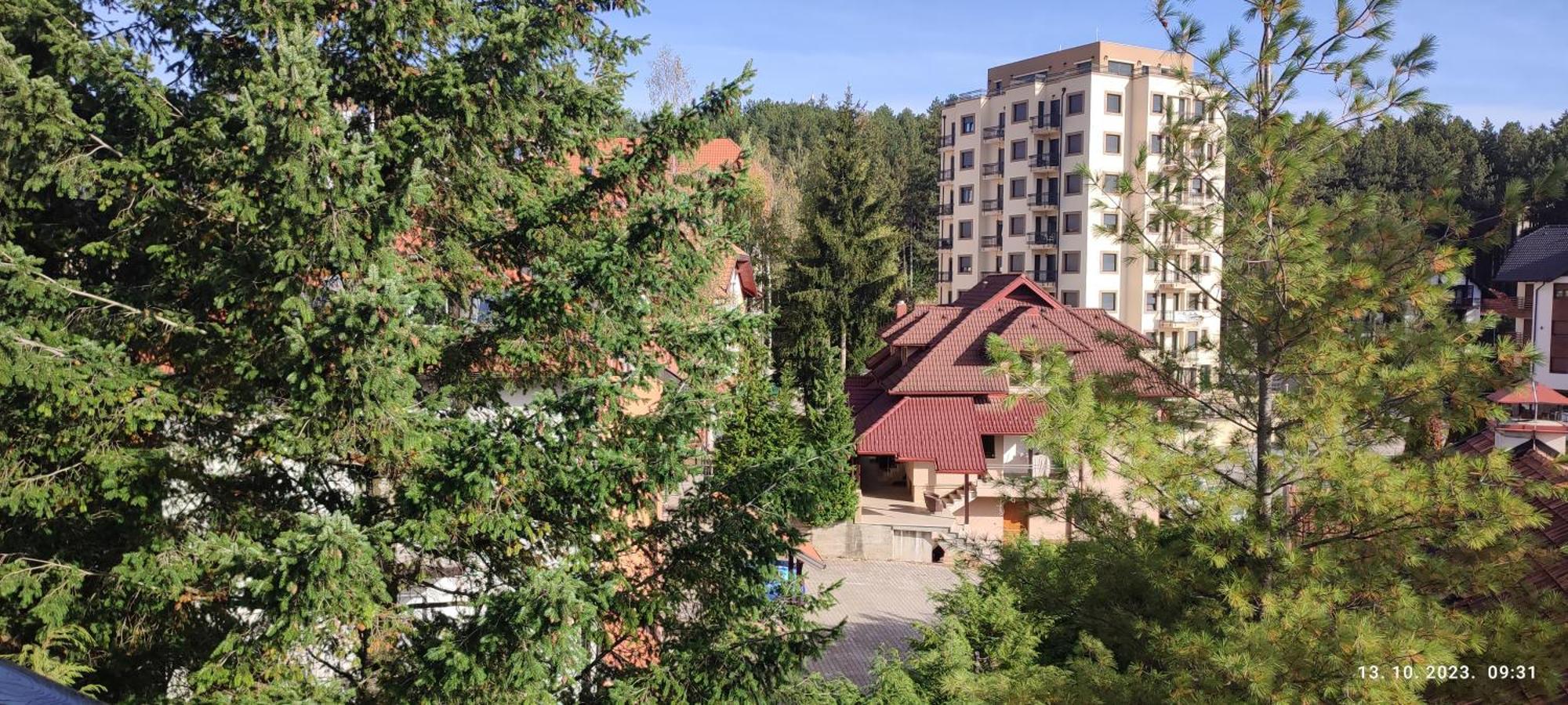 Stasa Apartment Zlatibor